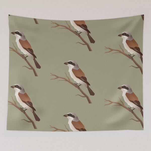 Item preview, Red-backed Shrike designed and sold by Rhys Schiffour.
