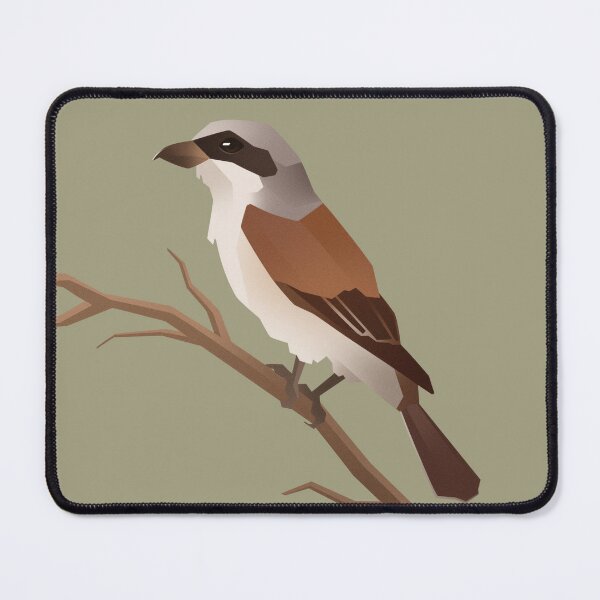 Item preview, Red-backed Shrike designed and sold by Rhys Schiffour.