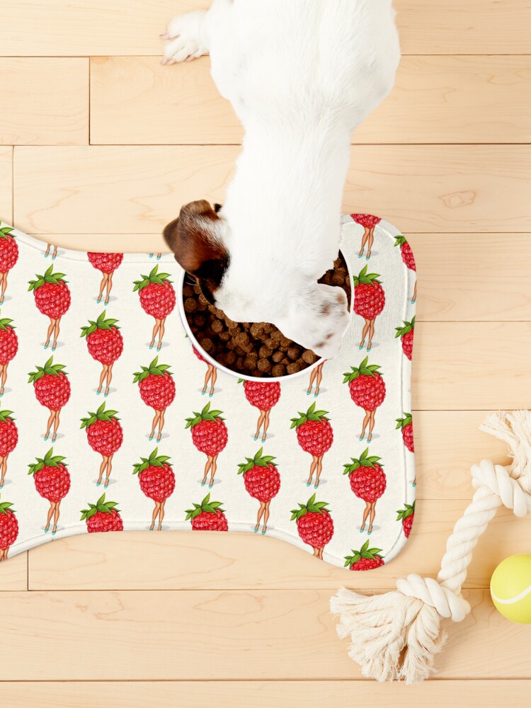 Graphic Pattern Pet Placemat Non-slip Absorbent Dog Feeding Mat