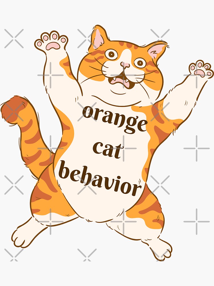 Crazy best sale orange cat