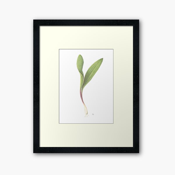 Item preview, Hand-Drawn Ramp designed and sold by Ann Brantingham -- Nature Art.