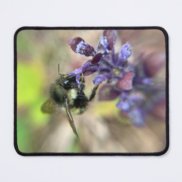Item preview, Bumble on flower designed and sold by Vail Bates.
