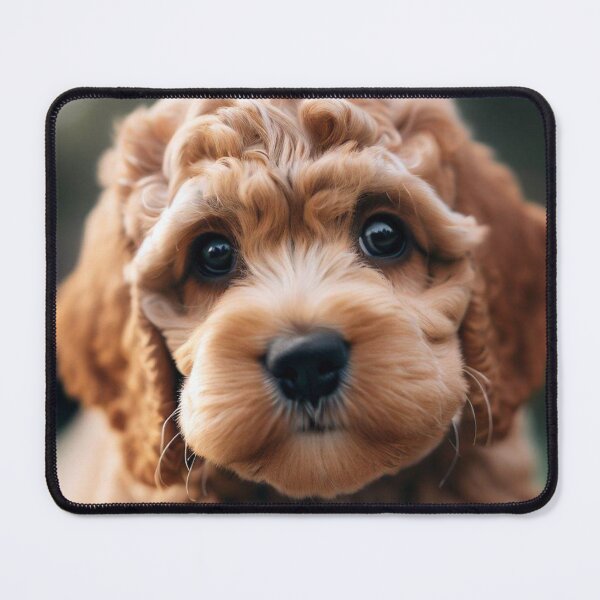 Item preview, Cute Cockapoo Puppy - Cute Baby Animals  designed and sold by baby-animal-art.