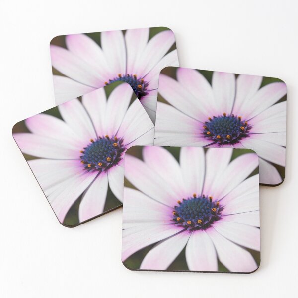Item preview, Macro shoot osteospermum chamomile on dark natural background designed and sold by sabanuluca.