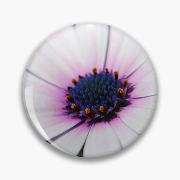 Item preview, Macro shoot osteospermum chamomile on dark natural background designed and sold by sabanuluca.