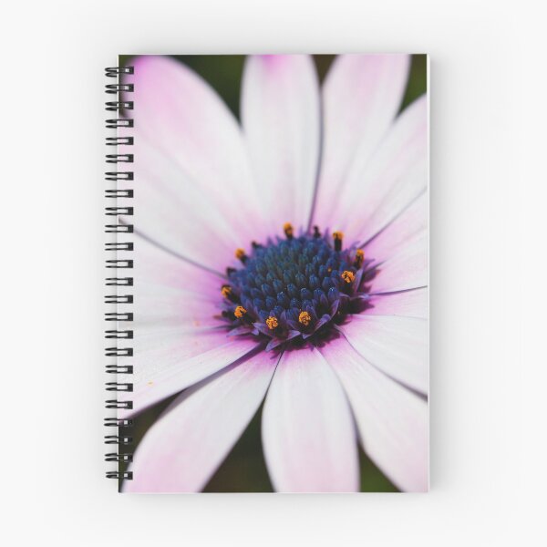 Item preview, Macro shoot osteospermum chamomile on dark natural background designed and sold by sabanuluca.