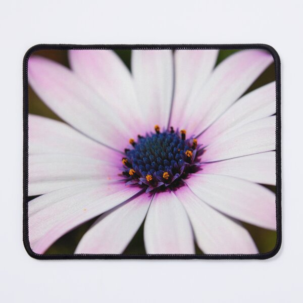 Item preview, Macro shoot osteospermum chamomile on dark natural background designed and sold by sabanuluca.