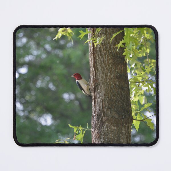 Item preview, Red-Headed Woodpecker designed and sold by This and That.