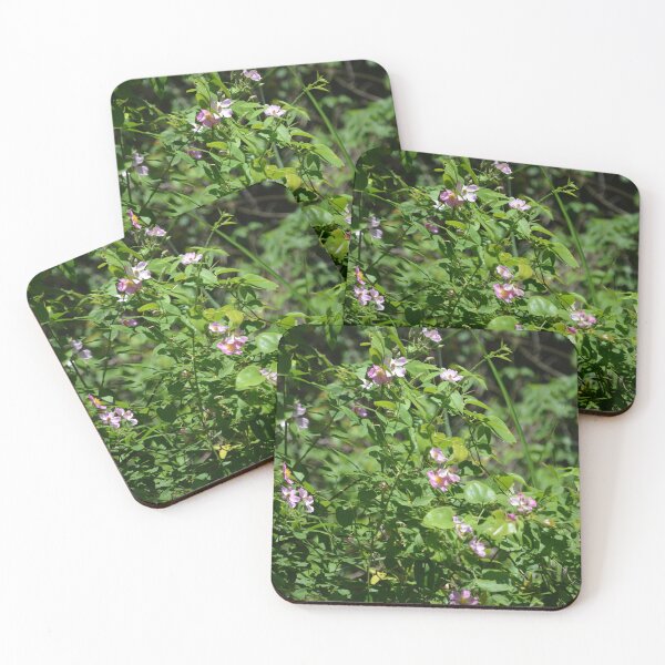 Item preview, Pink Climbing Prairie Rose designed and sold by This and That.