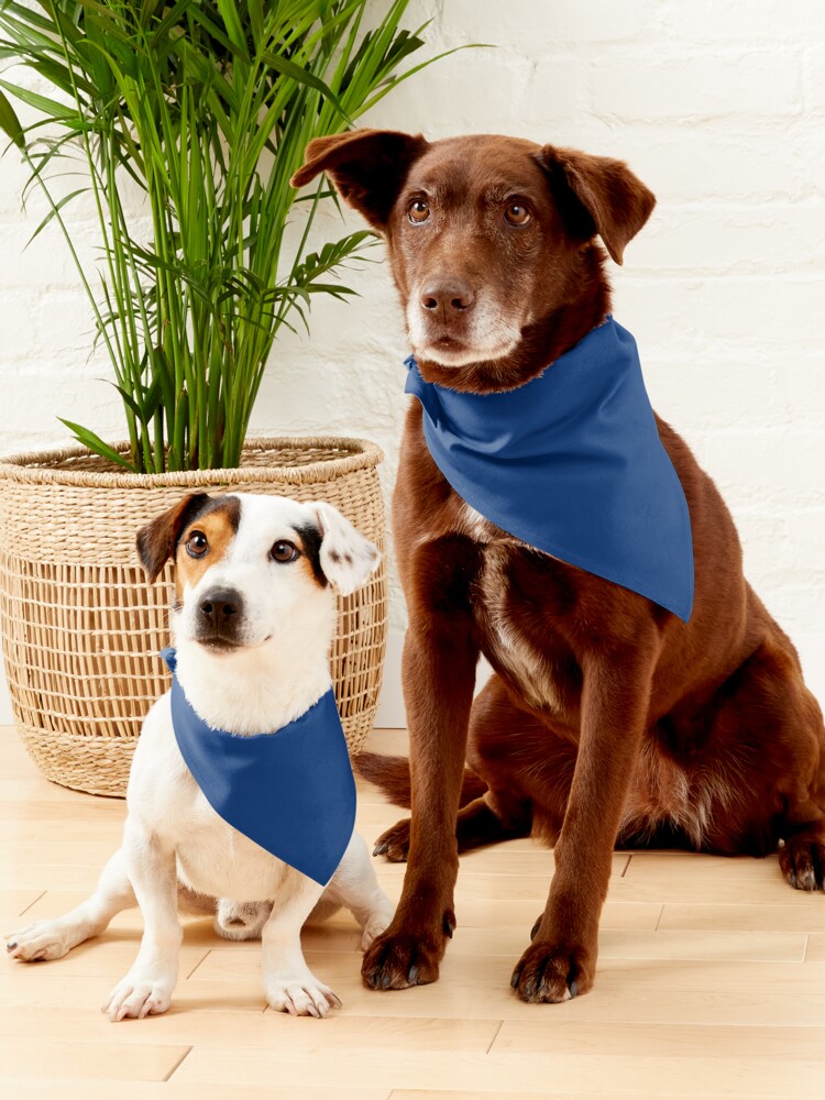 Large Kansas City Dog Bandana Over the Collar Dog Bandana 