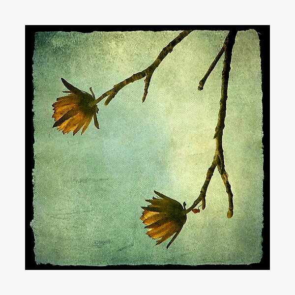 Item preview, Tree Flowers designed and sold by Kitsmumma.