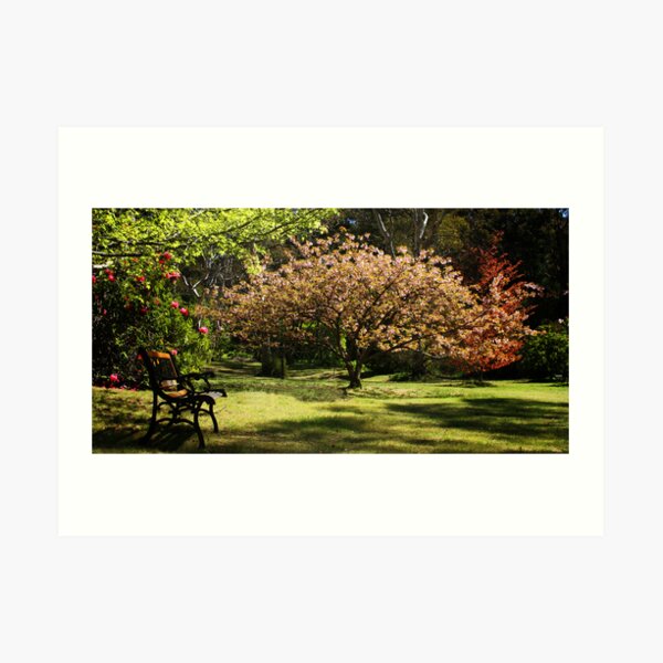Campbell Gardens, Blackheath, NSW. Art Print