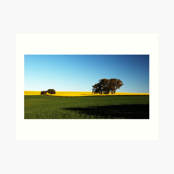 Cowra, New South Wales. Art Print