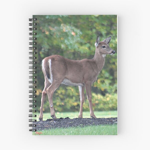 Item preview, Young deer designed and sold by Linda Crockett.