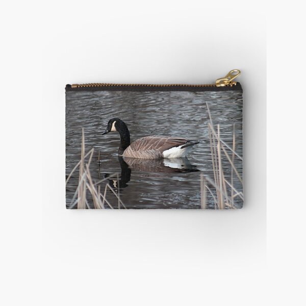 Item preview.
