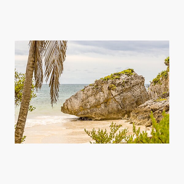 Item preview, Serenity at Tulum Beach: Palm Tree, Stones, and Cloudy Sky designed and sold by marioe-munoz.