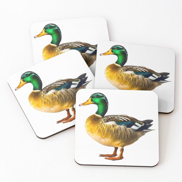 Aperçu de l'œuvre Le canard colvert créée et vendue par shtickfigures.