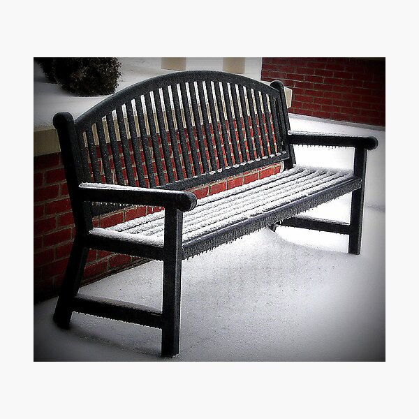 Item preview, Benched By Ice designed and sold by Gayle Dolinger.