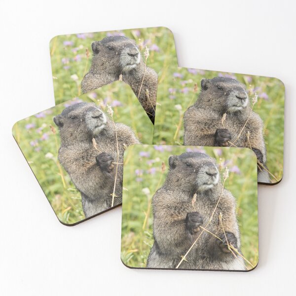 Item preview, Hoary Marmot Pulling a Stalk designed and sold by Belinda Greb Photography.