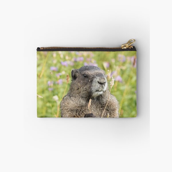 Item preview, Hoary Marmot Pulling a Stalk designed and sold by Belinda Greb Photography.