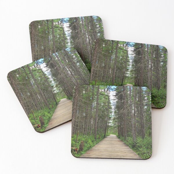 Item preview, Forested Trail - Algonquin Park designed and sold by SeekingSaudades.