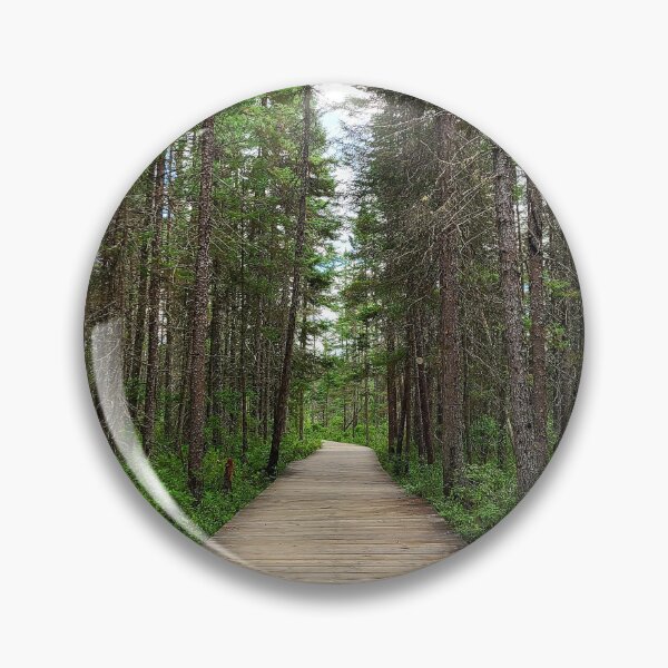 Item preview, Forested Trail - Algonquin Park designed and sold by SeekingSaudades.