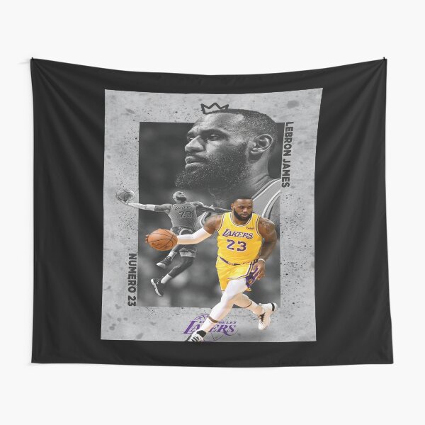 NBA LeBron James タペストリー Amazon.co.jp: NBA レブロン・ジェームス (70) NBAタペストリー