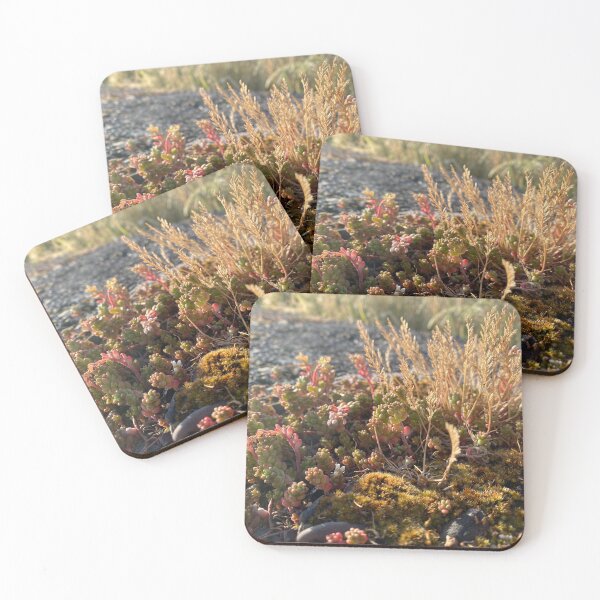 Item preview, Moss and Flowers Growing on Stone designed and sold by Sinemathk.