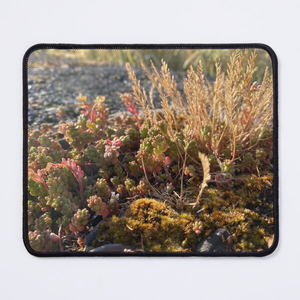 Item preview, Moss and Flowers Growing on Stone designed and sold by Sinemathk.