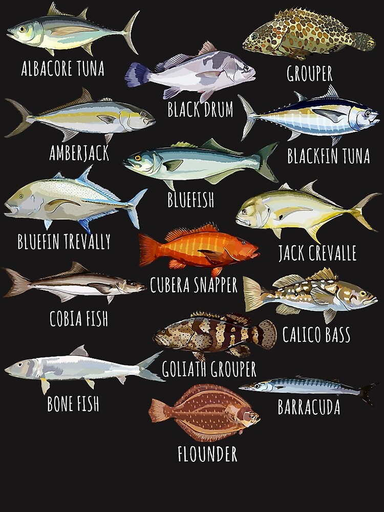 Fish Species Biology Types Of Saltwater Fish Fishing  Photographic Print  for Sale by AntoineLaram