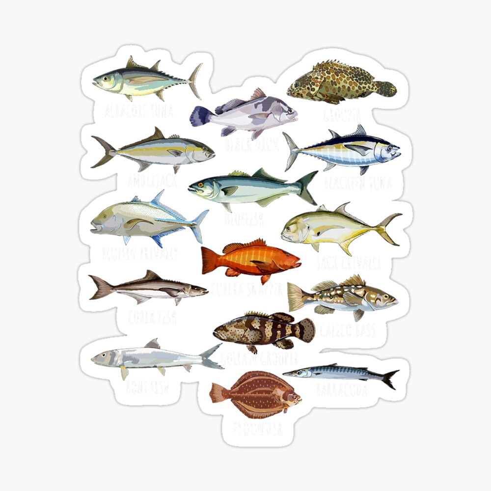 Types of Saltwater Fish Fish Species Bio Classic T-Shirt by Artistshot