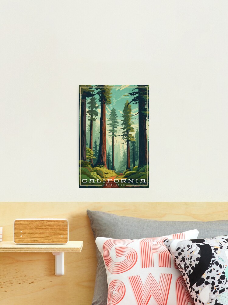 Photographic Print, California Redwoods designed and sold by Lonemoth