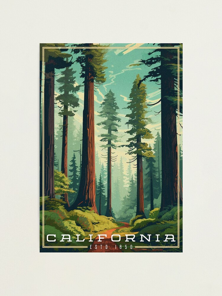 Photographic Print, California Redwoods designed and sold by Lonemoth