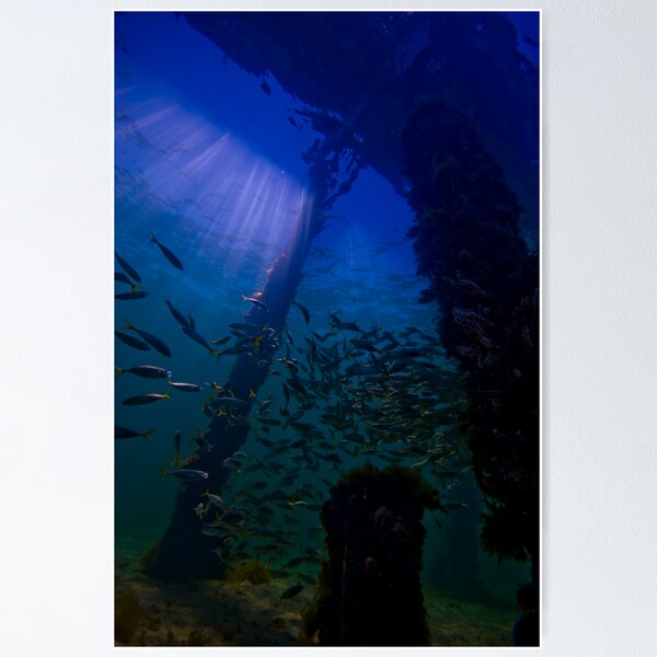 Item preview, Busselton Jetty designed and sold by Vincey.