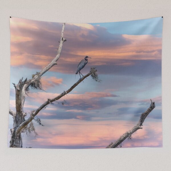 Item preview, Blue Heron at Sunset on limb in Tree Top in nature preserve designed and sold by ncNatureVisions.