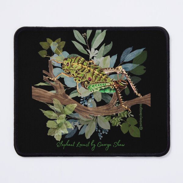 Item preview, Elephant Locust by George Shaw designed and sold by smirey designs.