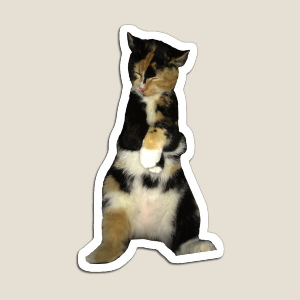 Item preview, Mugz laying down designed and sold by Kelsey9826.