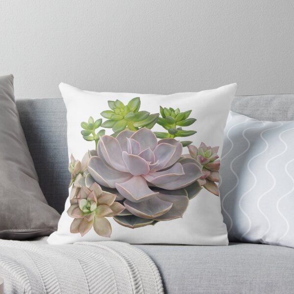Aperçu de l'œuvre Les plantes succulentes sont plantastiques créée et vendue par E11iegator.