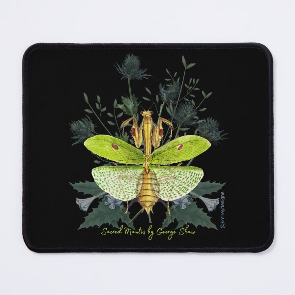 Item preview, Sacred Mantis by George Shaw designed and sold by smirey designs.