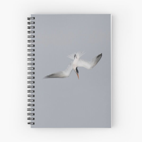 Item preview, Flippin tern designed and sold by Ruth Jolly.