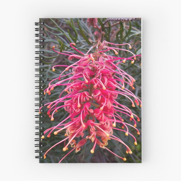Item preview, Pink grevillea designed and sold by polyhymnia14.