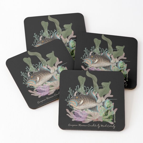 Item preview, Guaperva Maxima Caudata by Mark Catesby designed and sold by smirey designs.