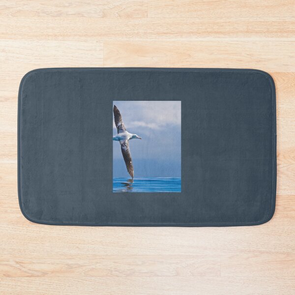 Item preview, Wandering Albatross - New Zealand Photographic Print 	 designed and sold by snnzkpommxx24.