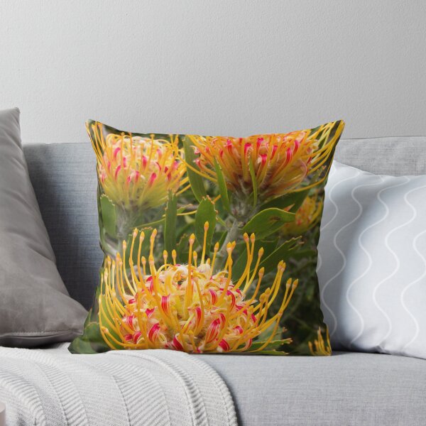 Item preview, Proteas designed and sold by polyhymnia14.