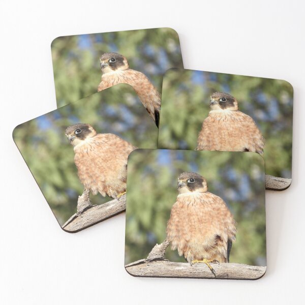 Item preview, Australian Hobby designed and sold by Mark Grimsley.