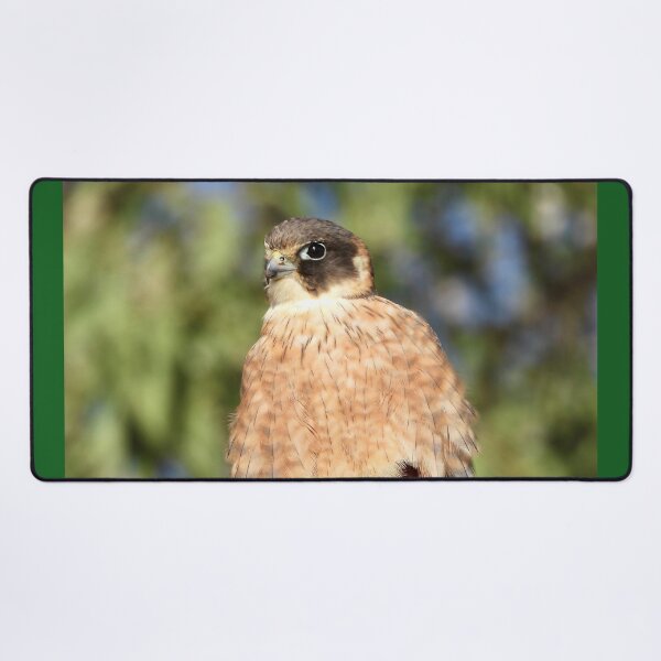 Item preview, Australian Hobby designed and sold by Mark Grimsley.