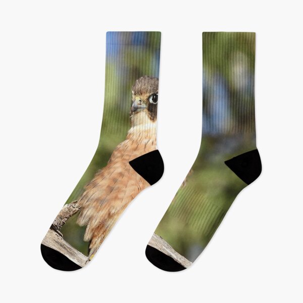 Item preview, Australian Hobby designed and sold by Mark Grimsley.