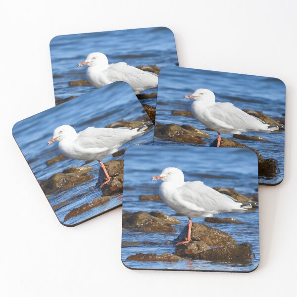 Item preview, Silver Gull, sea Gull, on beach rocks designed and sold by Mark Grimsley.