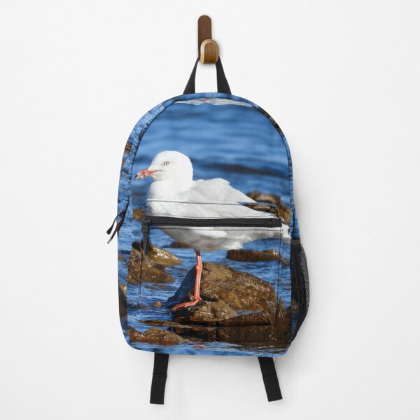 Item preview, Silver Gull, sea Gull, on beach rocks designed and sold by Mark Grimsley.