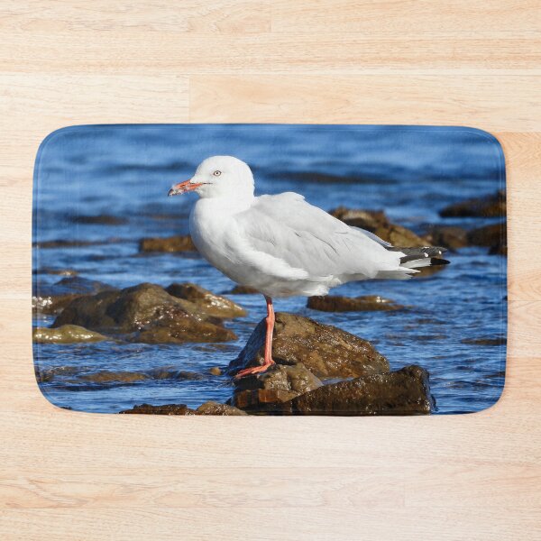 Item preview, Silver Gull, sea Gull, on beach rocks designed and sold by Mark Grimsley.